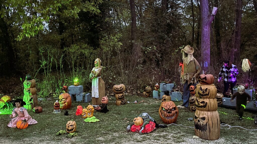Carved pumpkins lit up in a display at dusk