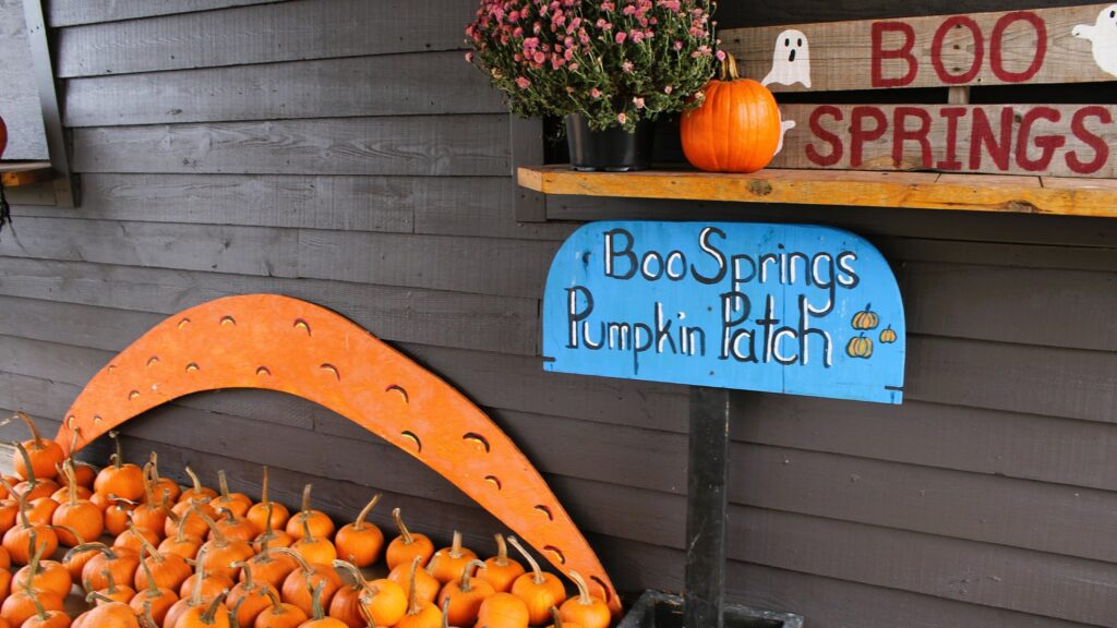 The pumpkin patch sign at Blue Springs Ranch