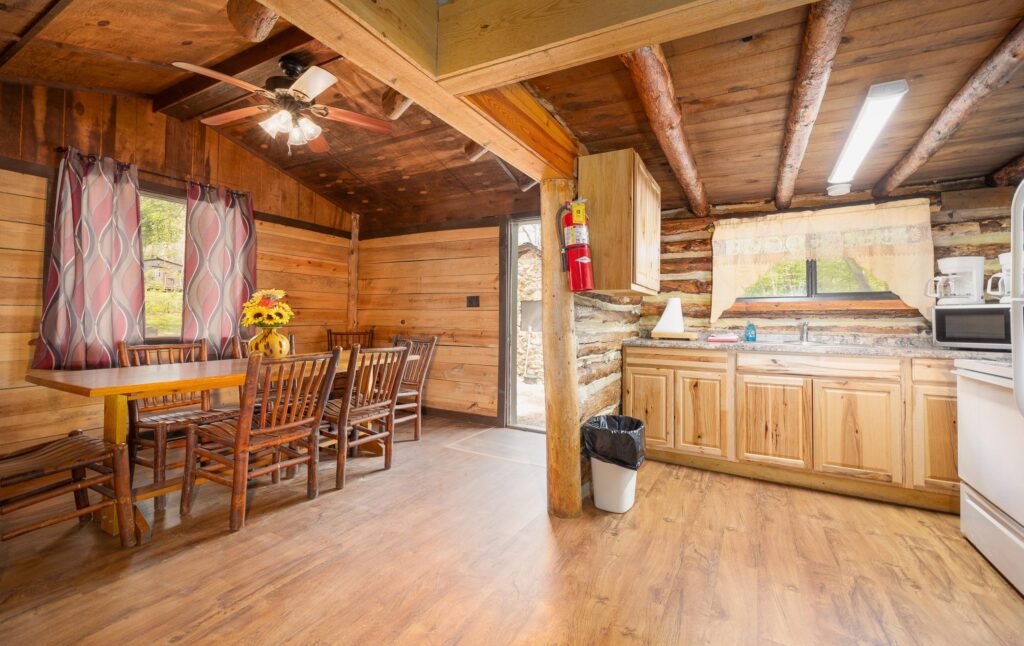 Log Cabin kitchen