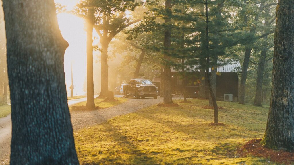 Sunrise flaring through the oaks above a cabin's gravel drive.